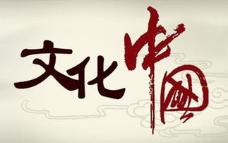 中國文化傳媒網 文化傳播的數字化先鋒